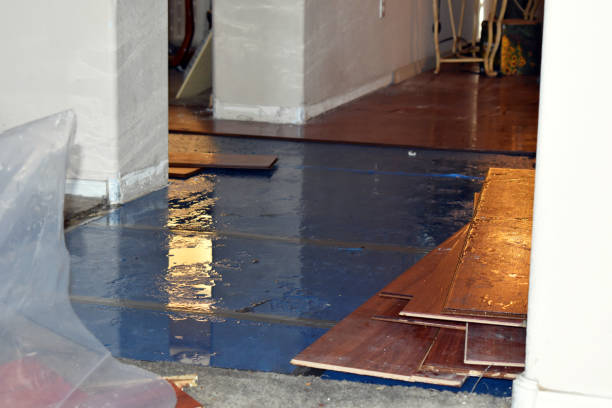 Professional Burst Pipe Cleanup technician working in Medinah, IL